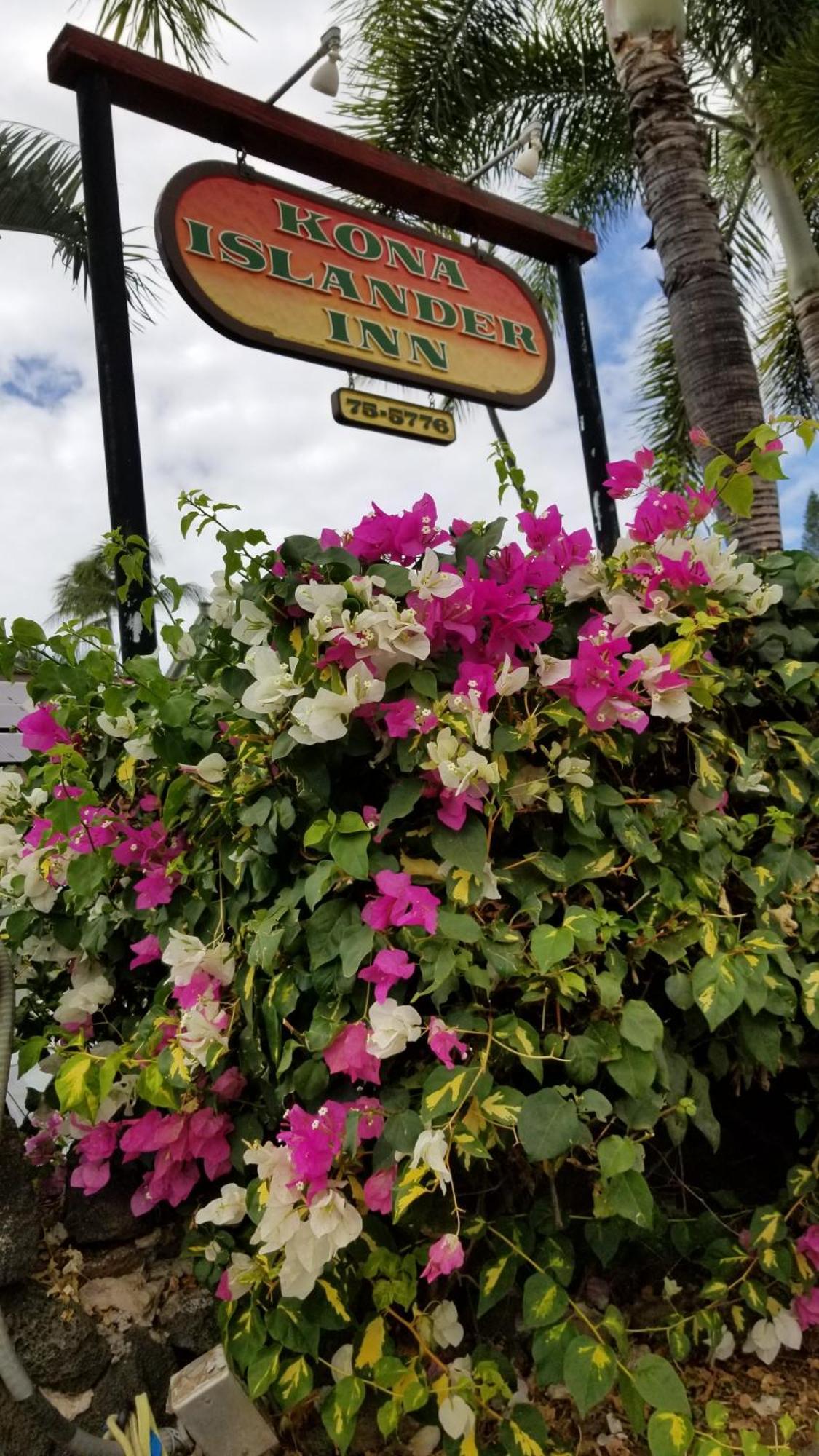 Downtown Hawaiian Theme Condo With Hot Tub, Pool & Beach - Kona Islander Inn 凯路亚-科纳 外观 照片